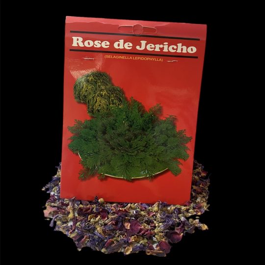 Rose Jerico